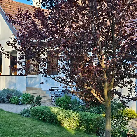 Kalium Vendeghaz Apartament Mindszentkálla