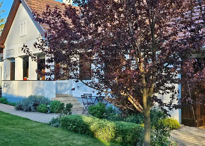 Kalium Vendeghaz Lägenhet Mindszentkálla